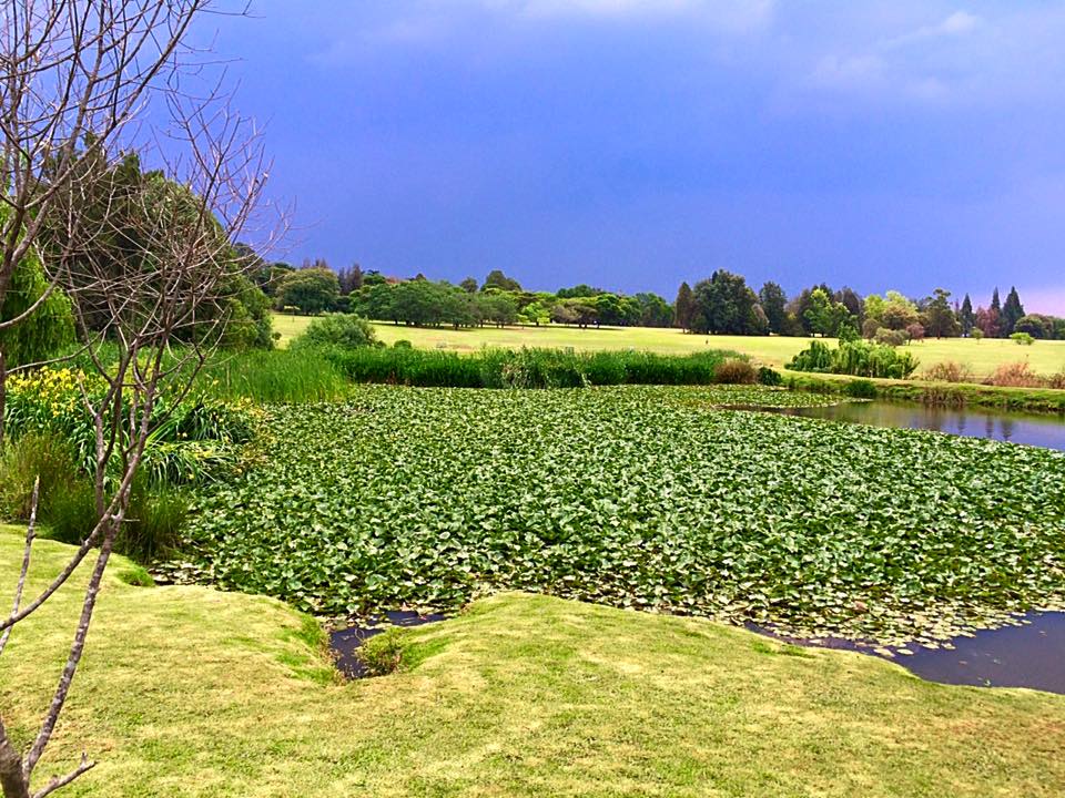 Emmarentia dam water view