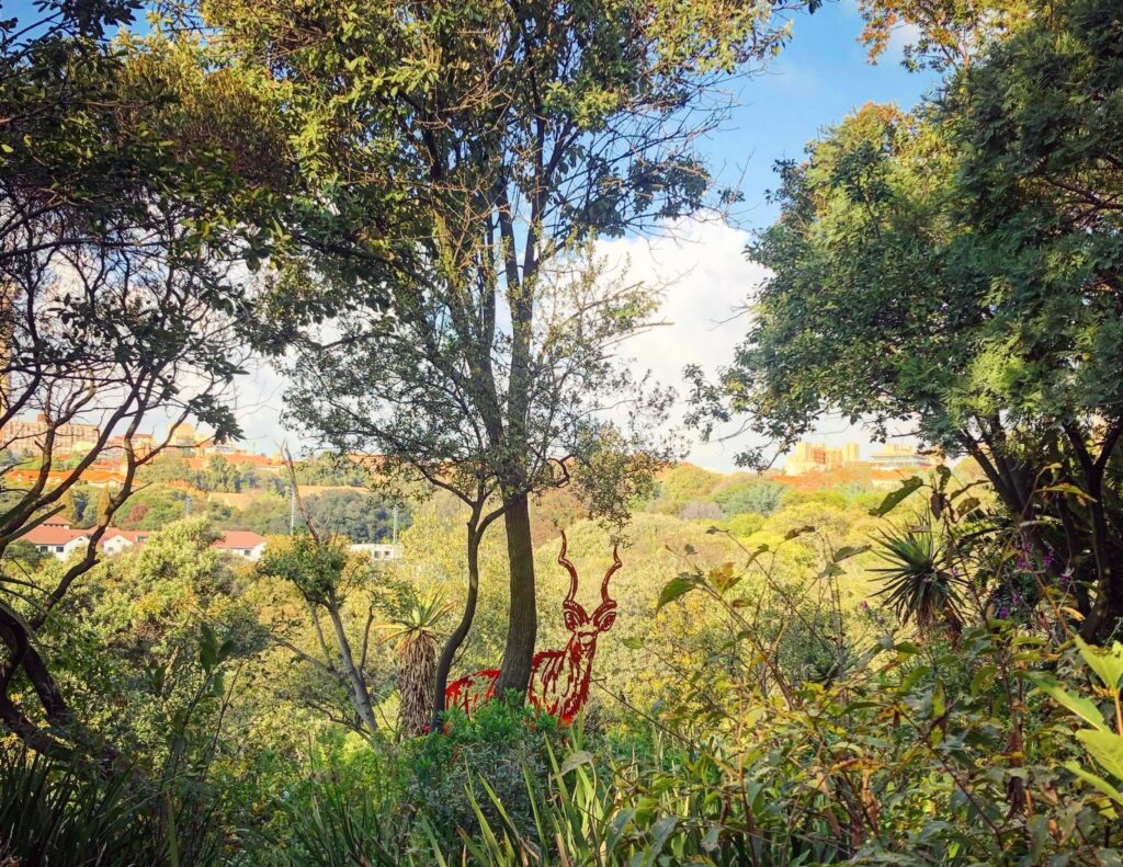 The Wilds Nature Reserve