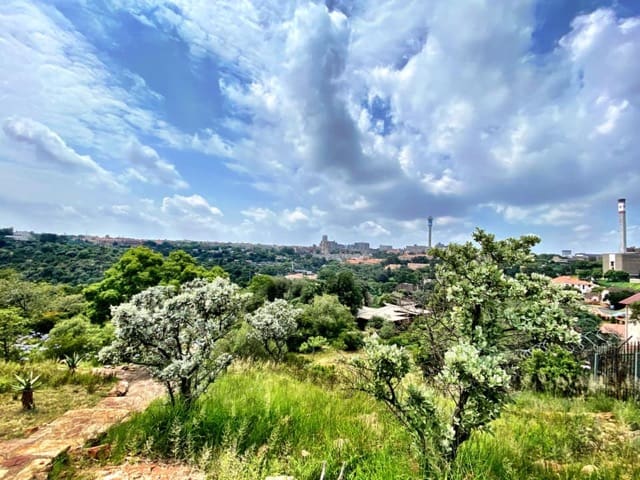 panoramic view over the city