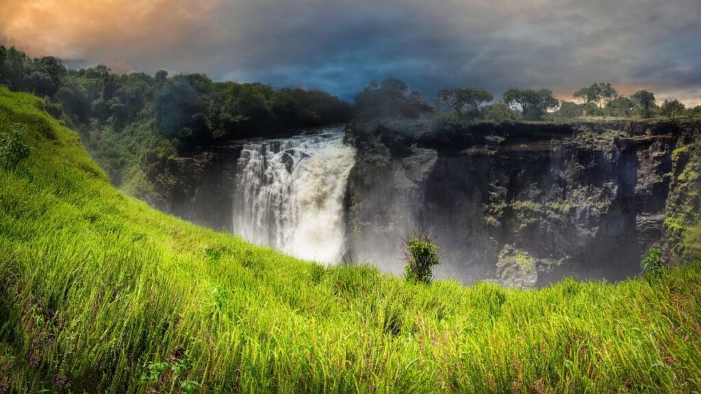 victoria falls grass view