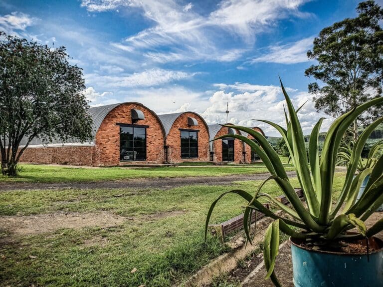 mushroom silos farm view hello joburg