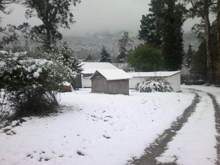 Gumtree Snow Hello Joburg Featured