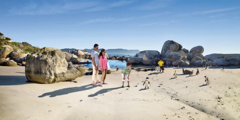 Boulders Beach