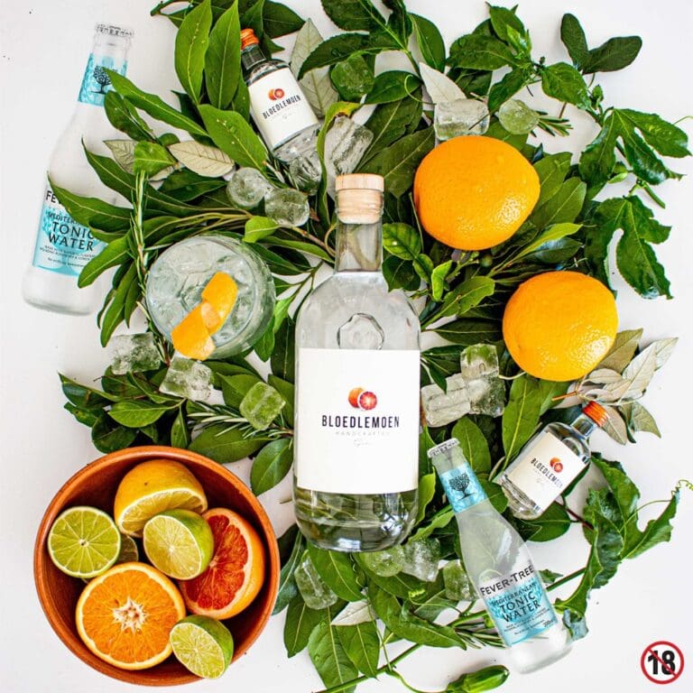 bloedlemoen gin with various botanicals on flat-lay