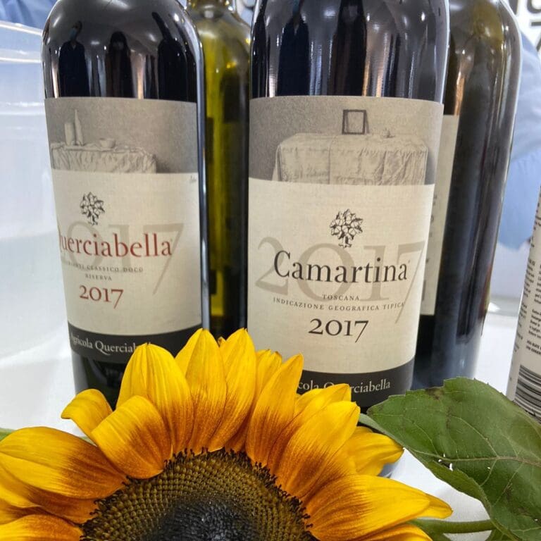 Italian wine and sunflower