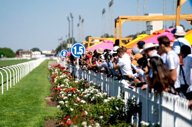 people celebrating at a race course