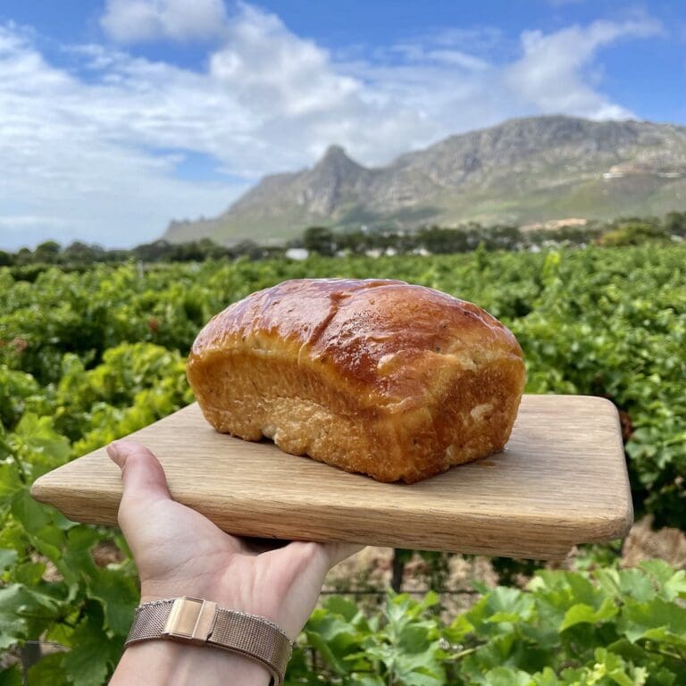 Mosbolletjie Bread in the gardens with mountain in background