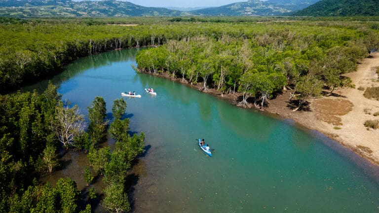 Umngazi river aerial view