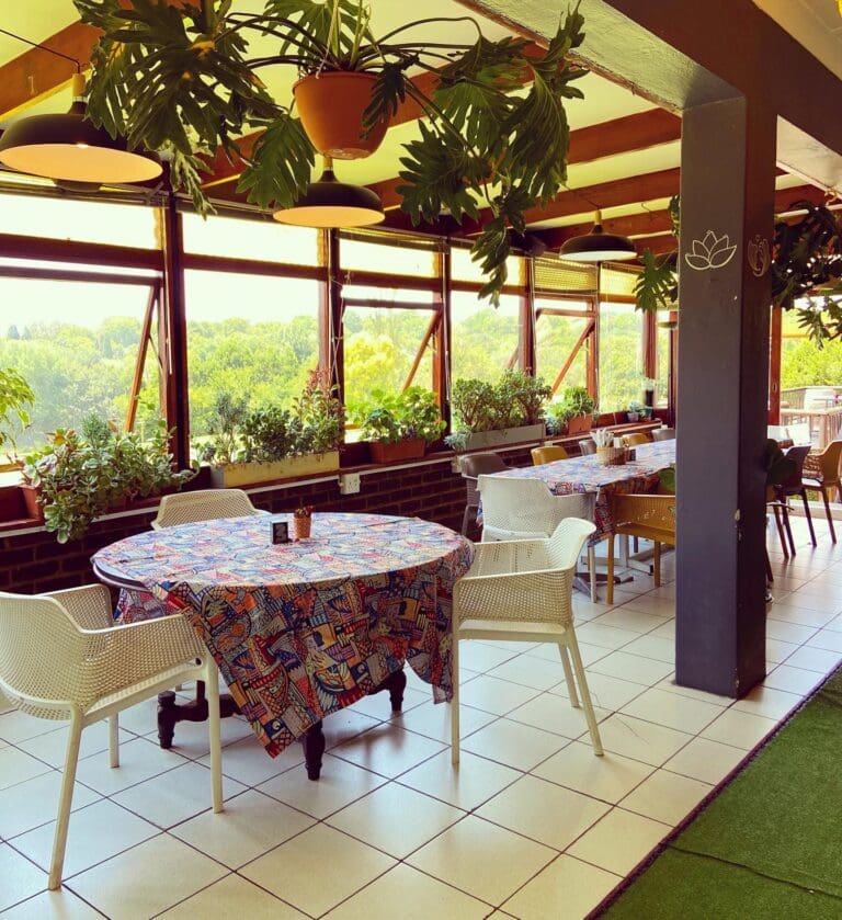 Interior image with chairs and plants