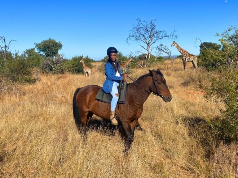 Horseback Safari at Lion & Safari Park