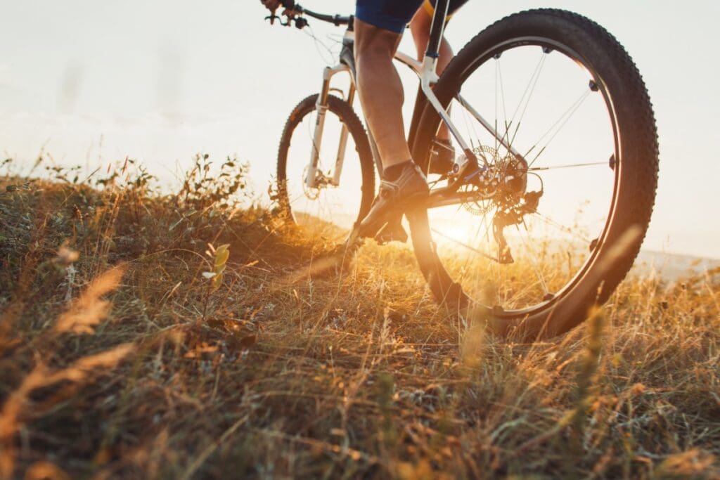 MTB trails at Lion & Safari Park