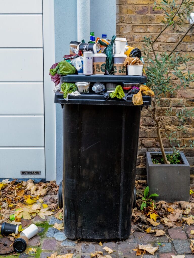 Organics in a trash can