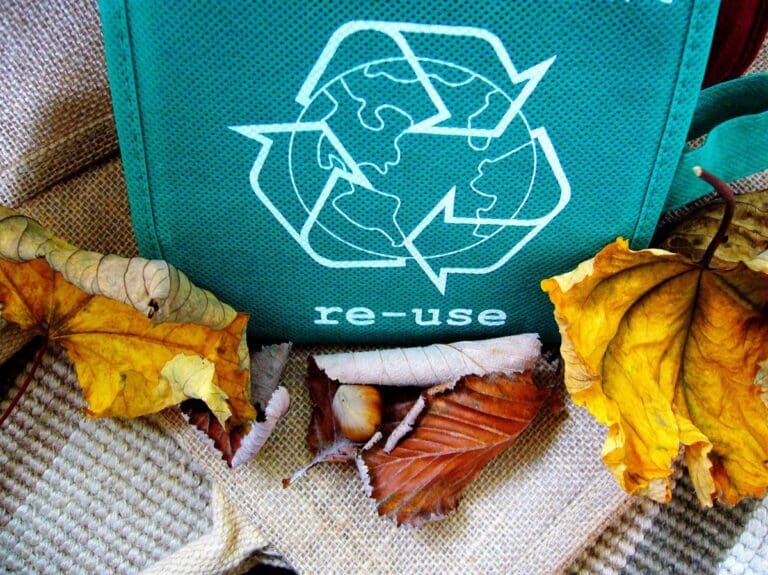 recycle shopping bag