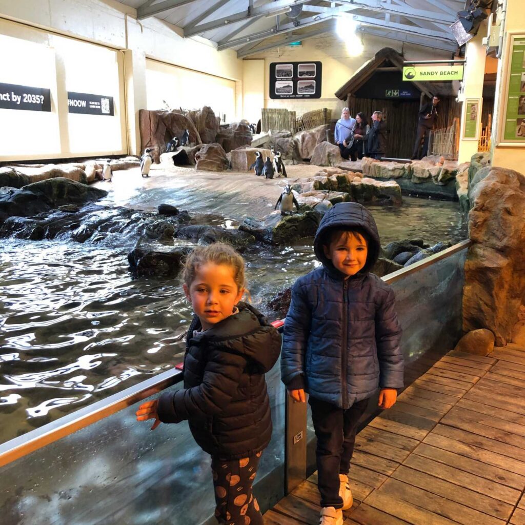 Two Oceans Aquarium