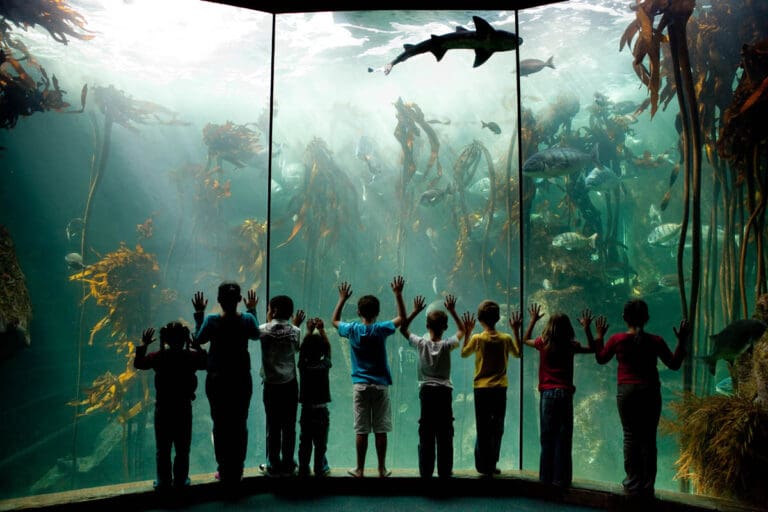 Two Oceans Aquarium Cape Town