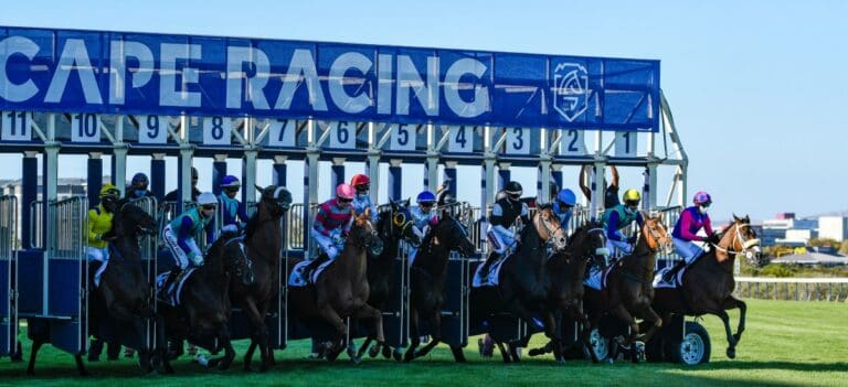 Cape Racing at starting gate