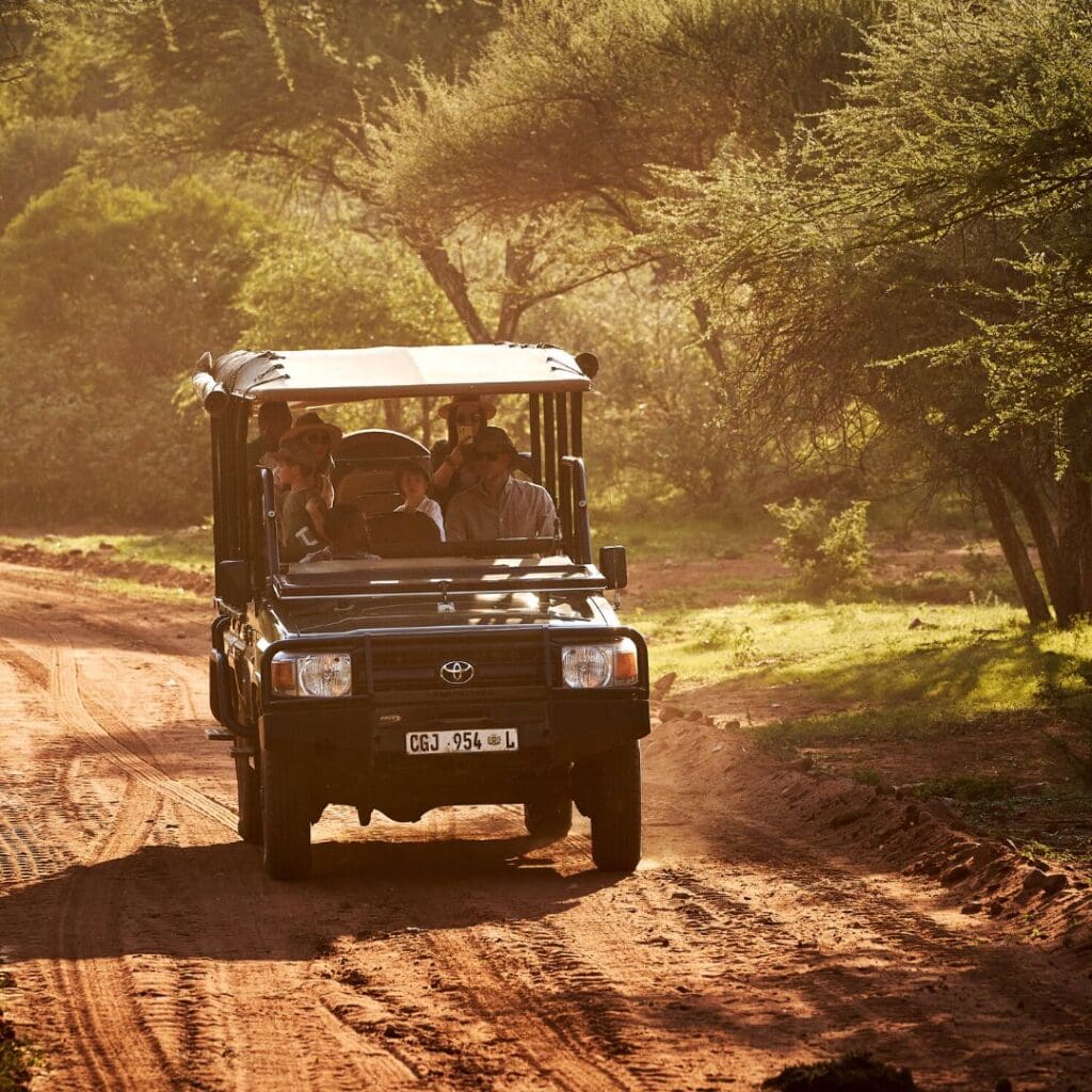 safari at qwabi