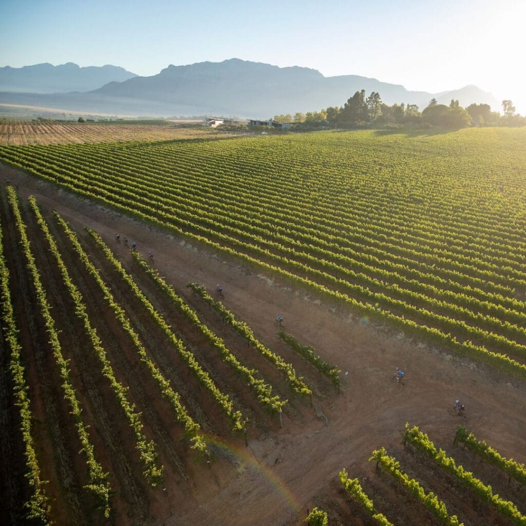 Absa Cape Epic Cape Winelands