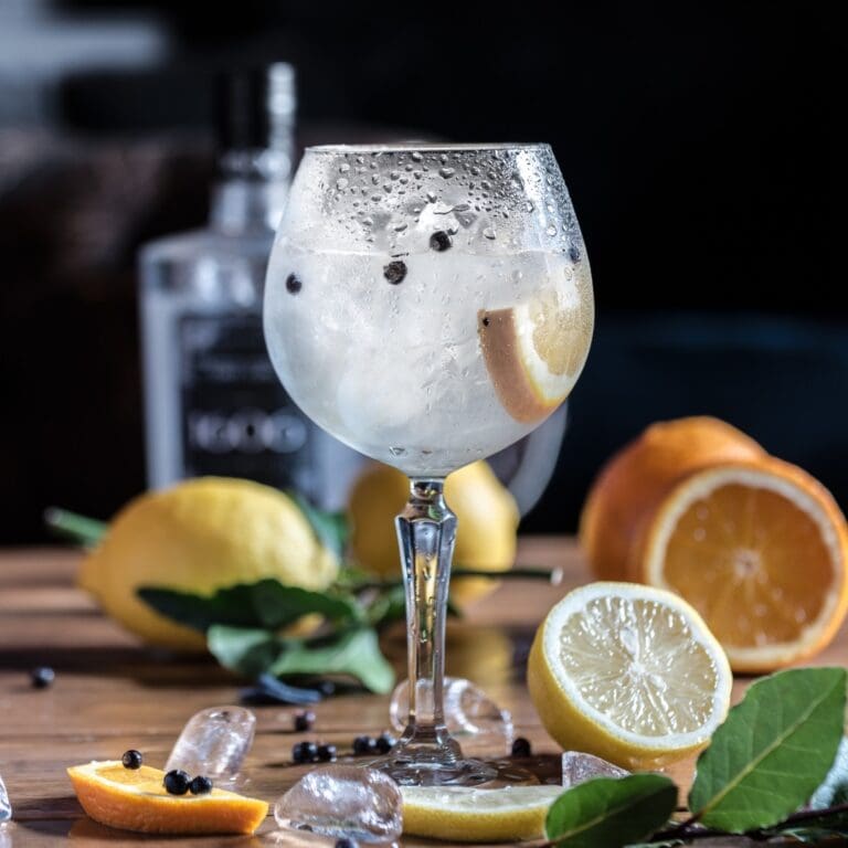 Gin image with oranges