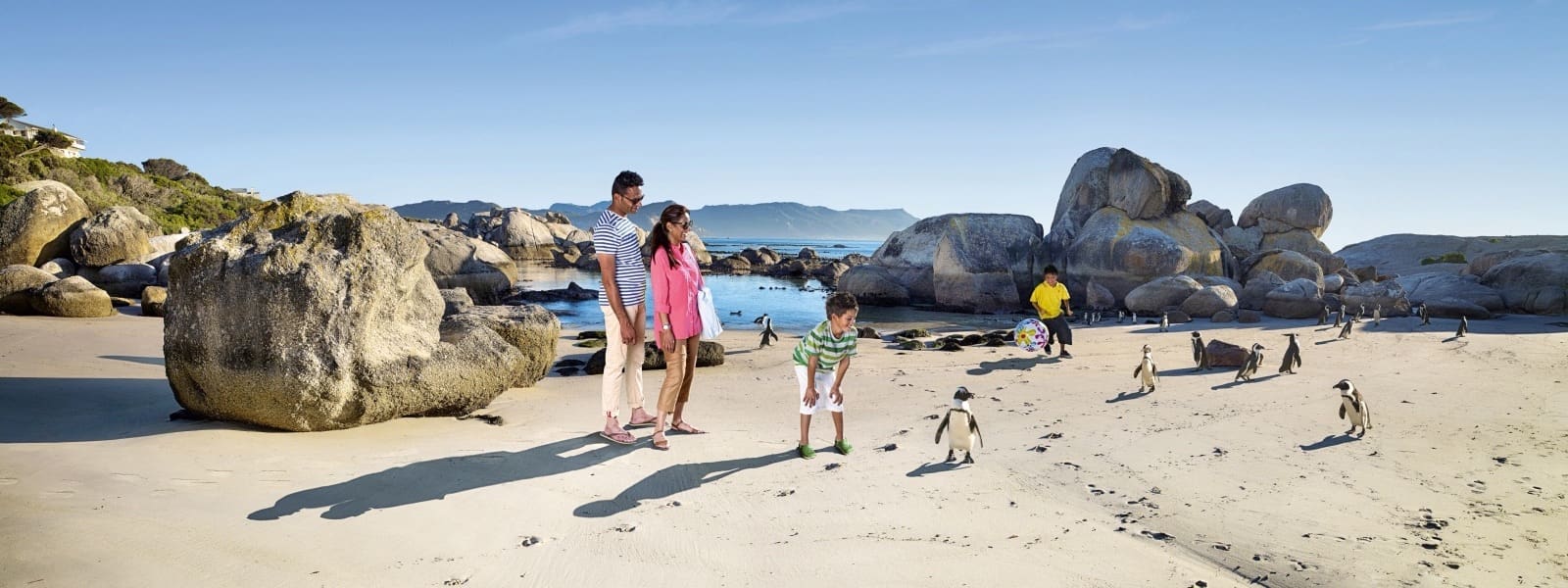 Boulders Beach Cape Town