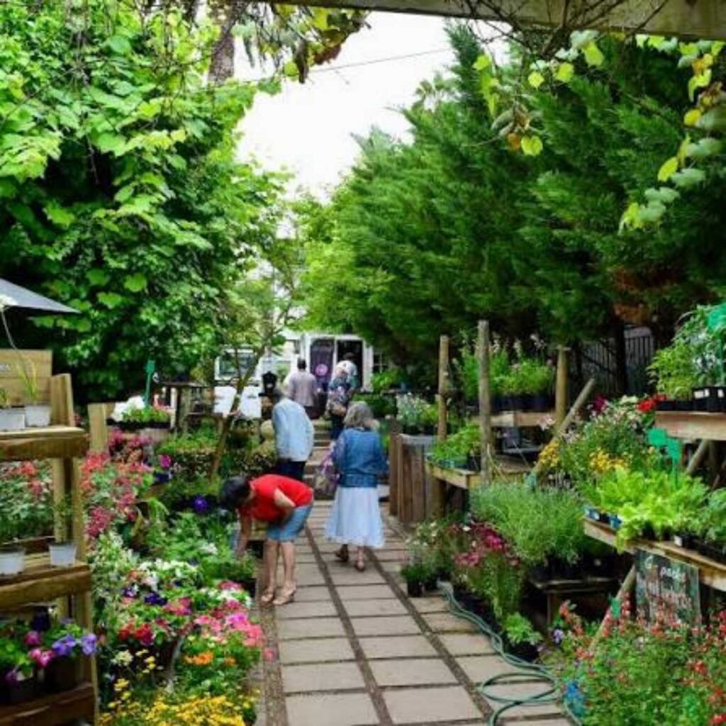 Courtyard53 Market