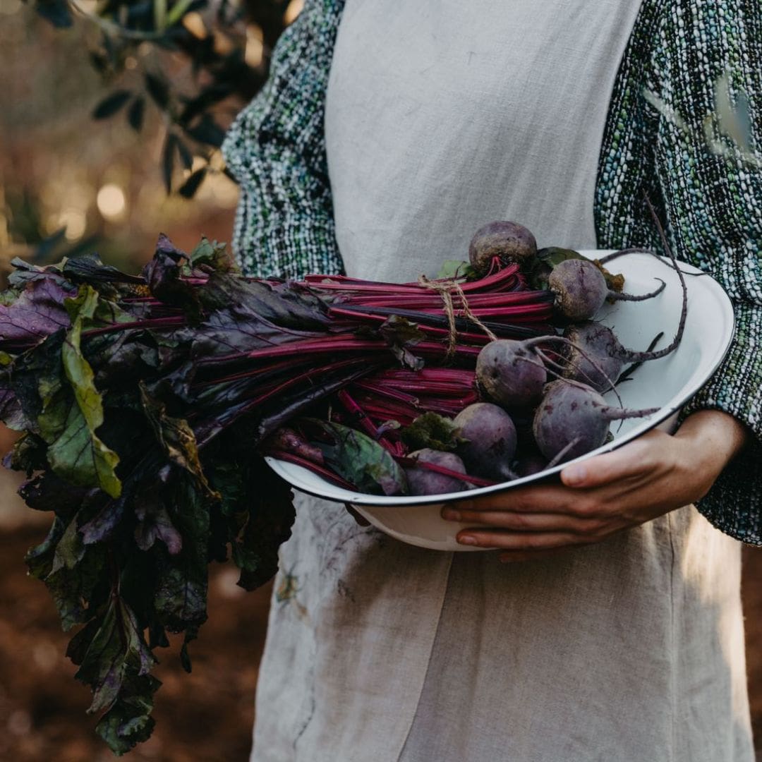 Campagne Living Farm to Table event