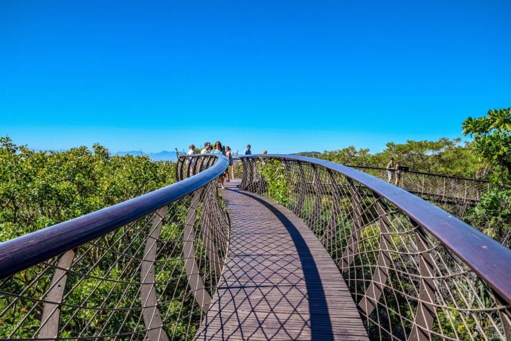 Kirstenbosch