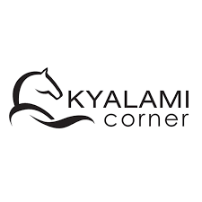 Kyalami Corner