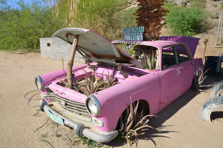 Look out for the pink jalopy to find Affieplaas farm stall at Onseepkans