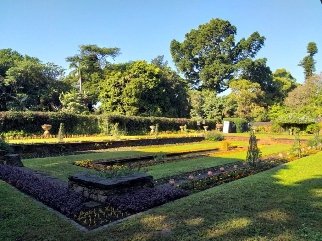 Durban Botanical Gardens