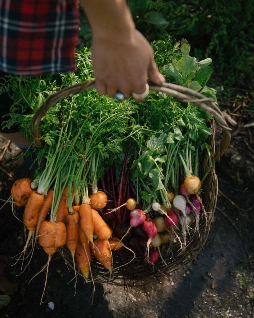 Veld and Sea Veggies