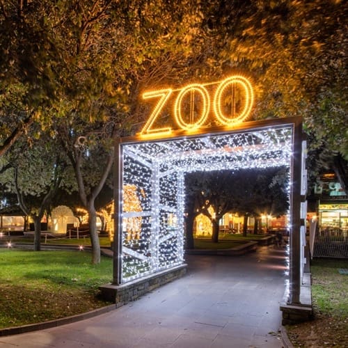 Joburg Zoo Festival of Lights