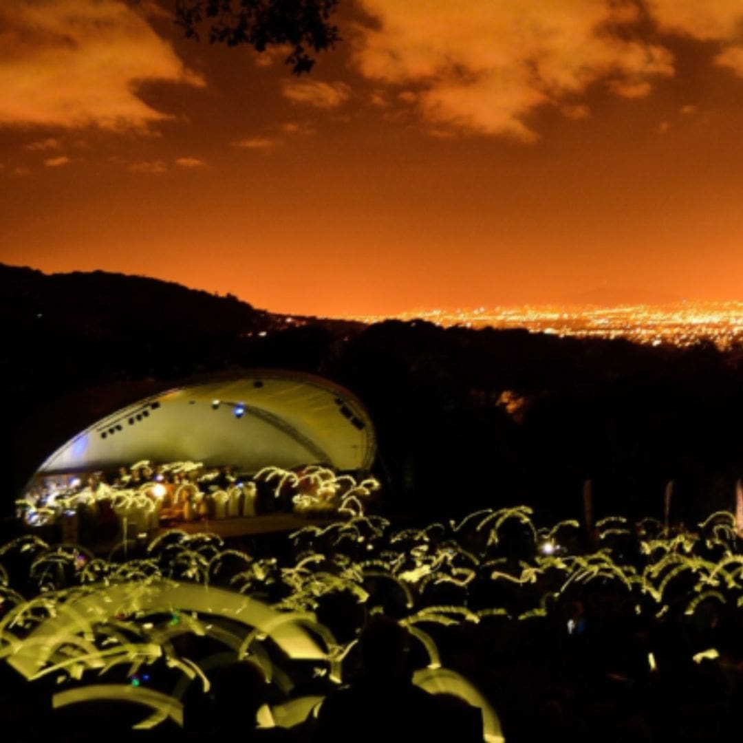 Carols Kirstenbosch Cape Town