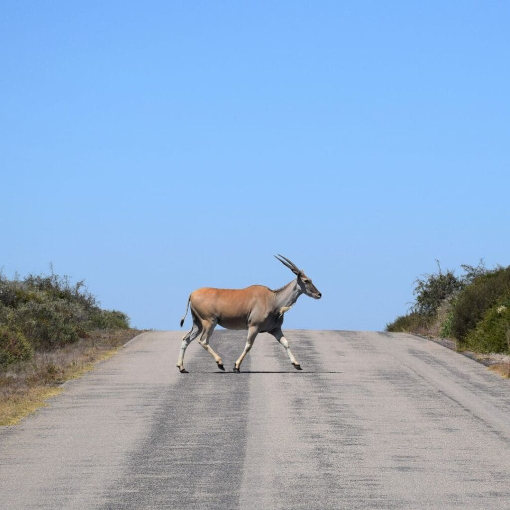 West Coast National Park