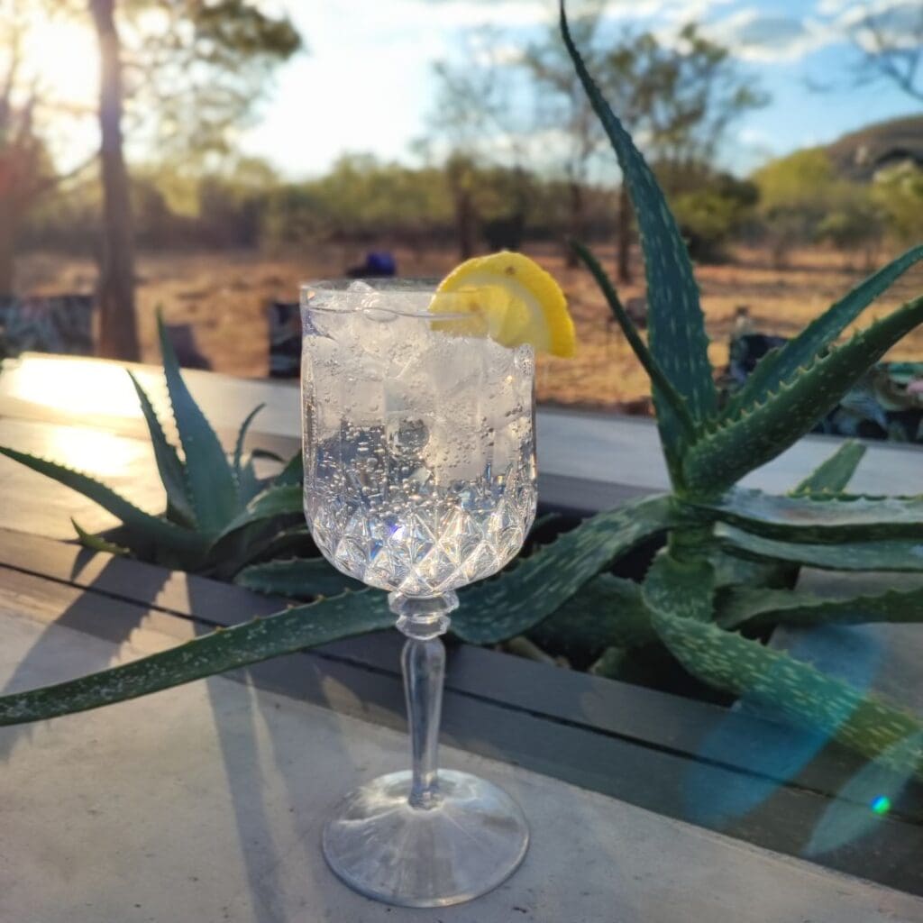 G&T Bush Bar Cypiro Leopard Lodge