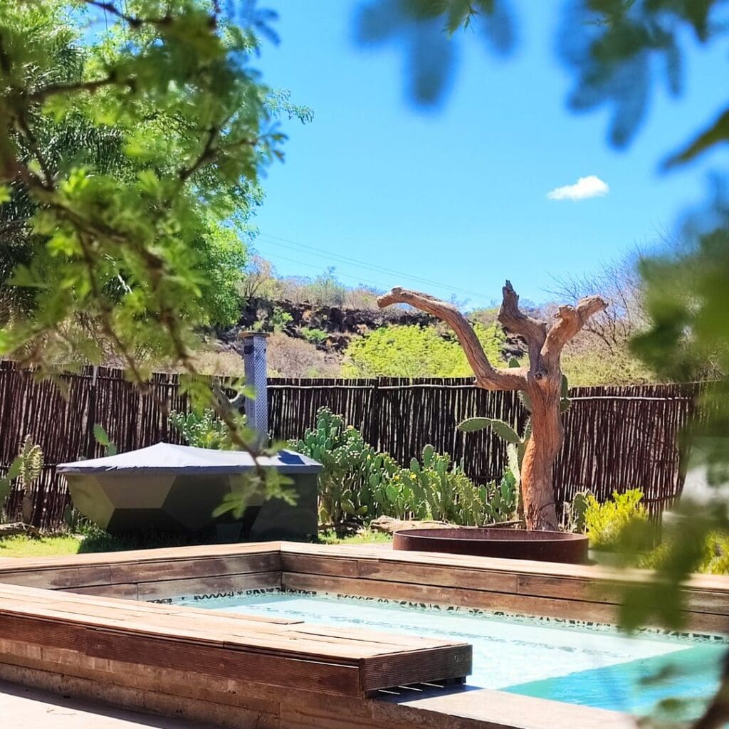 The Hacienda's swimming pool, Cypiro Leopard Lodge