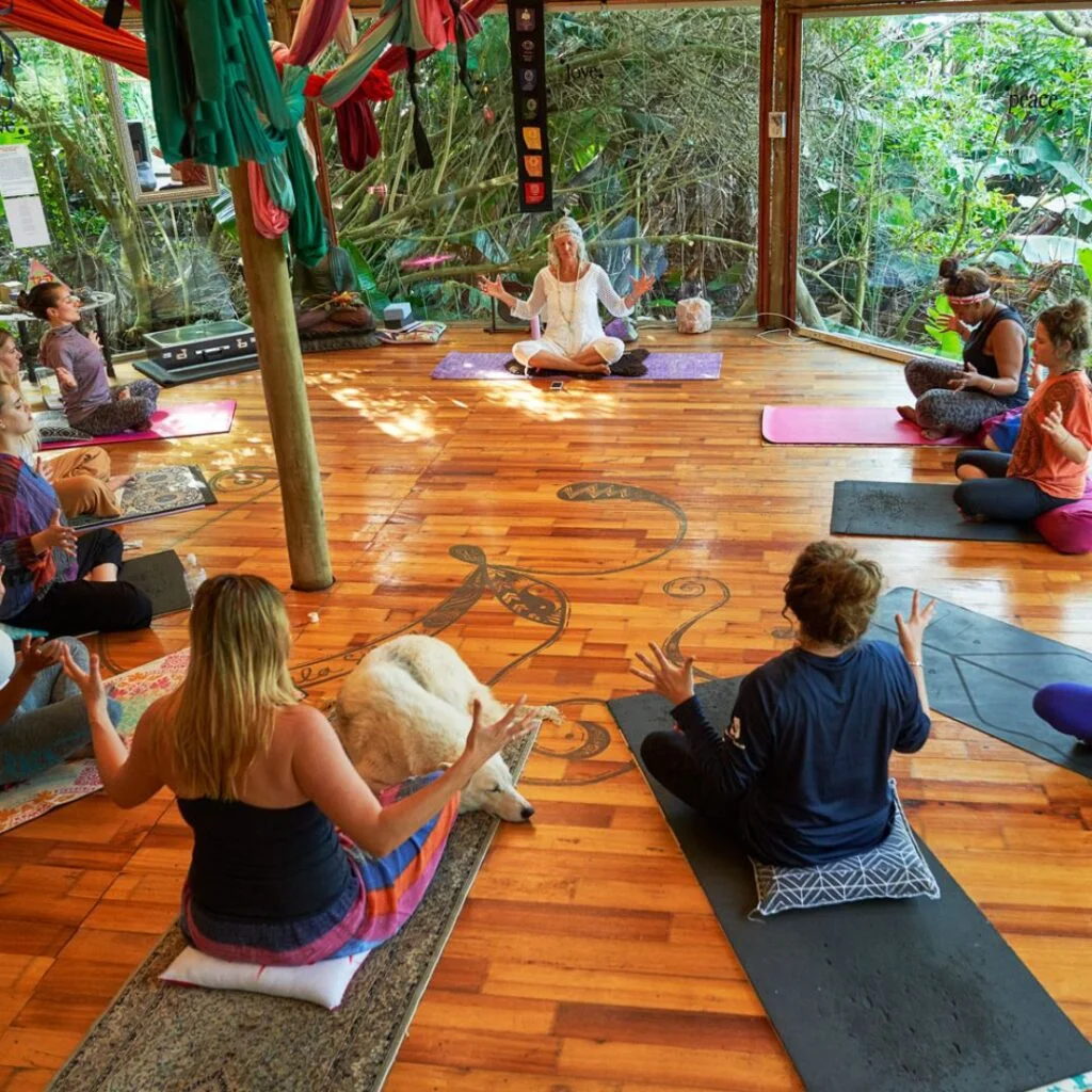 Top yoga studios - mantis and moon