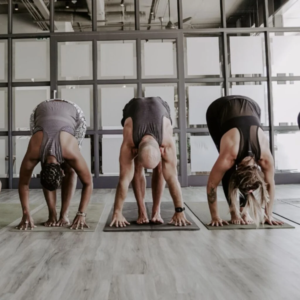 Top yoga studios - manifest yoga