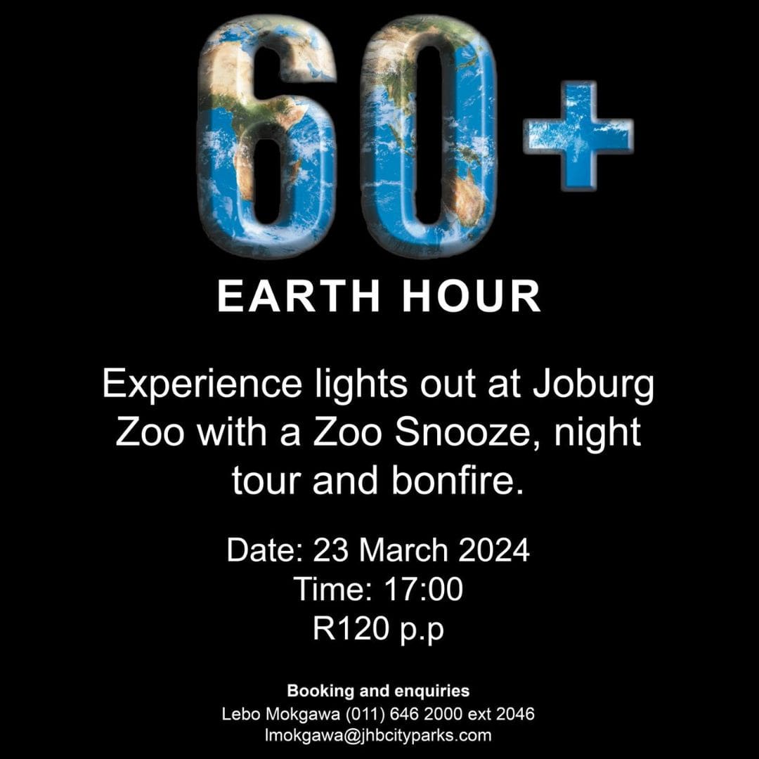 Earth Hour Zoo Snooze