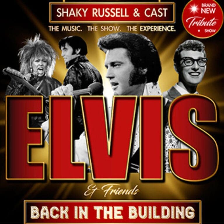 Elvis And Friends