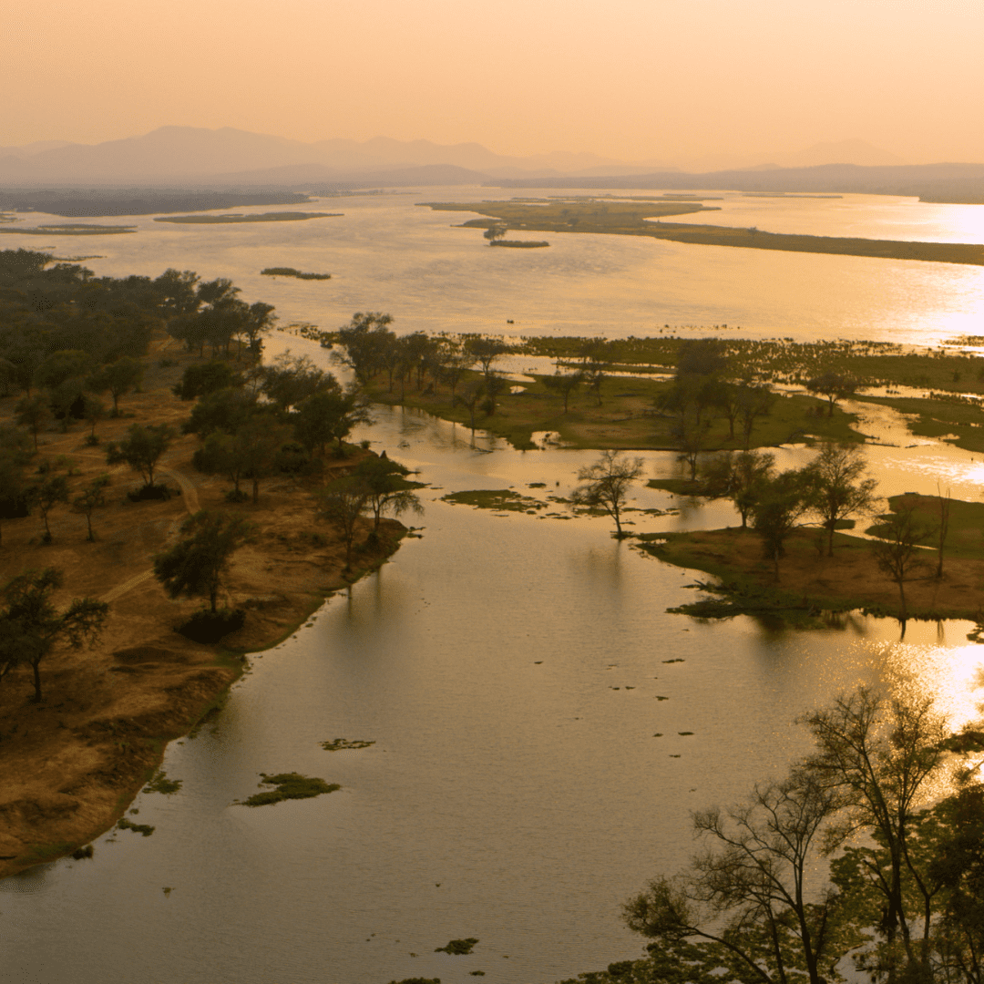 Wild Zambezi