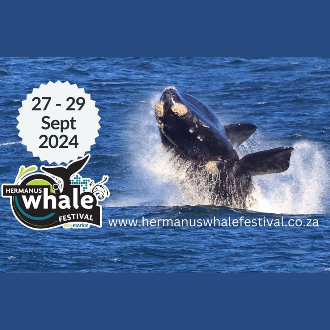 2024 Hermanus Whale Festival