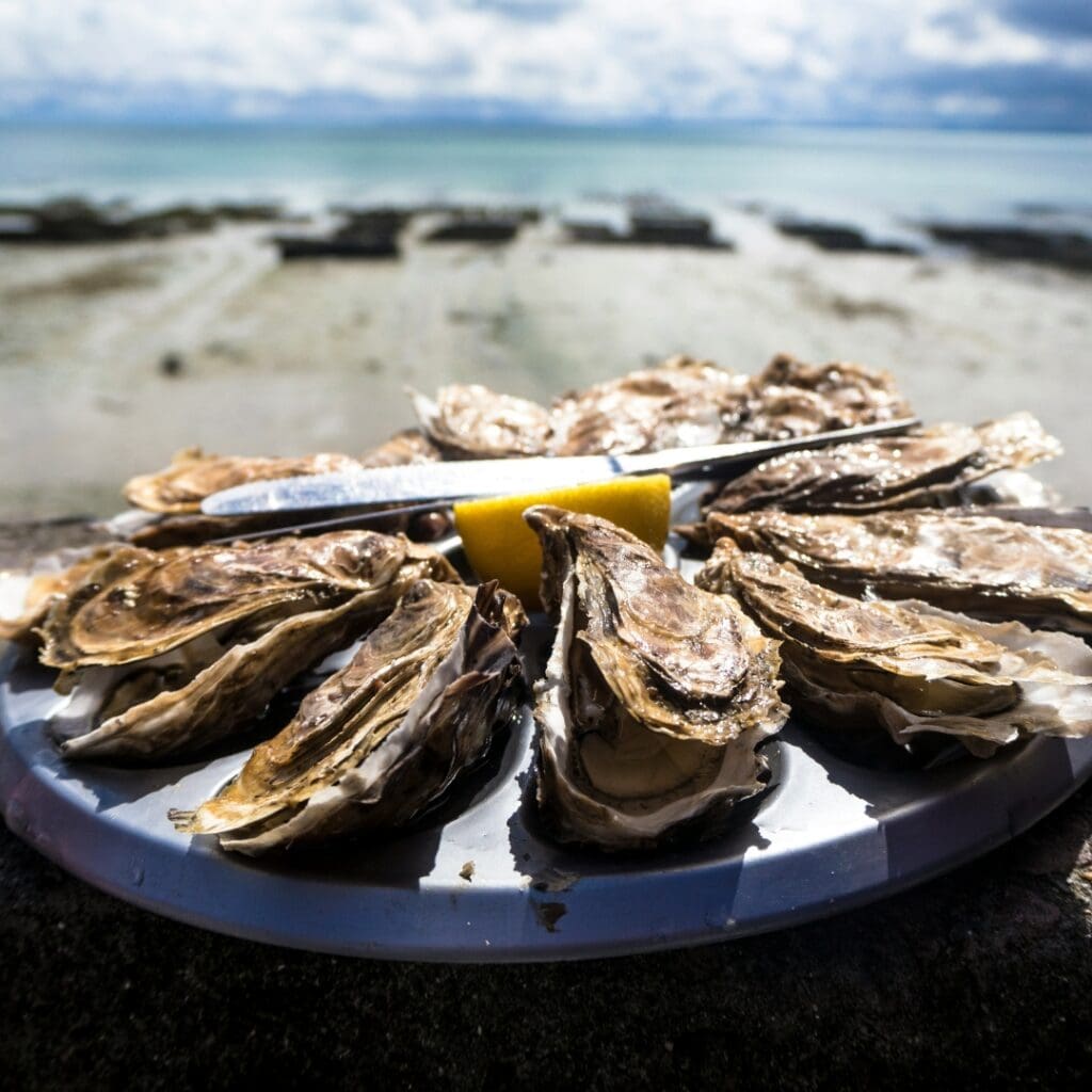 Knysna Oyster Fest