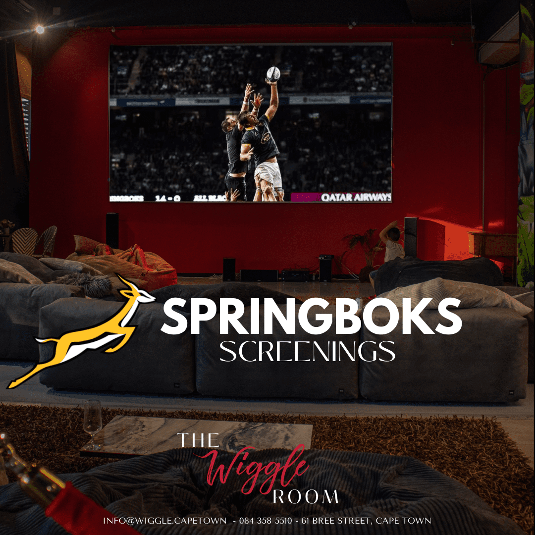 Springboks vs Wales