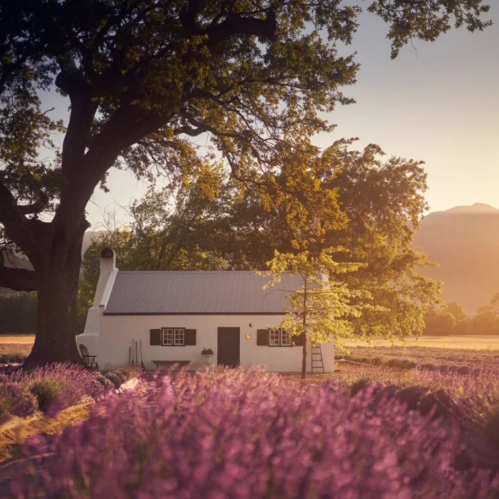 JAN Franschhoek La Motte