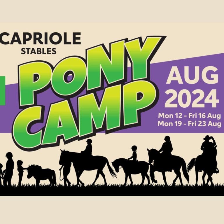 Pony Camp