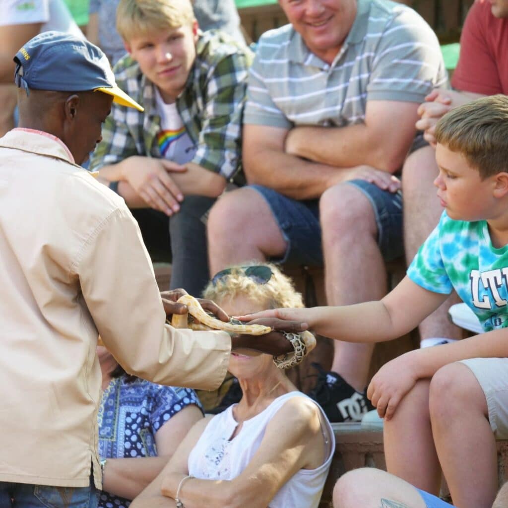 Free Things to do in Joburg on Your Birthday - Bothongo Rhino & Lion