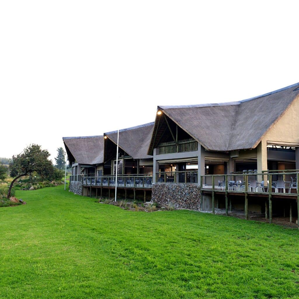 Things to do in Joburg for free on your birthday - Lion & Safari Park