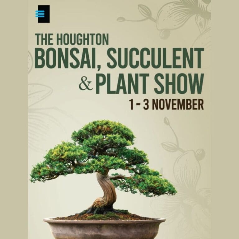 Bonsai