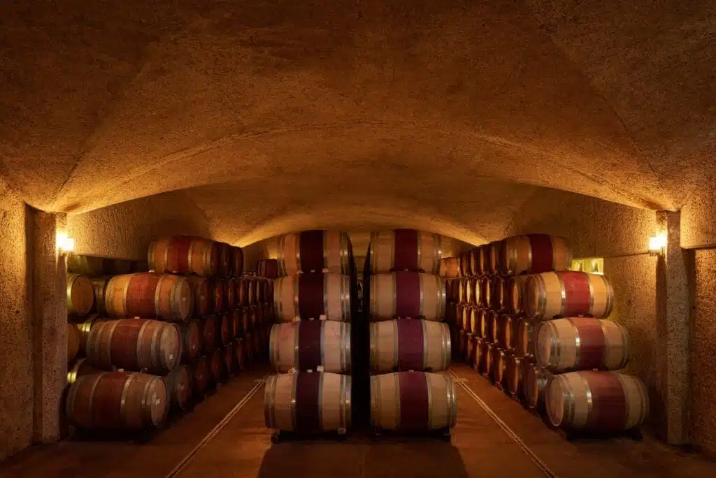 Tokara Cellar Interior